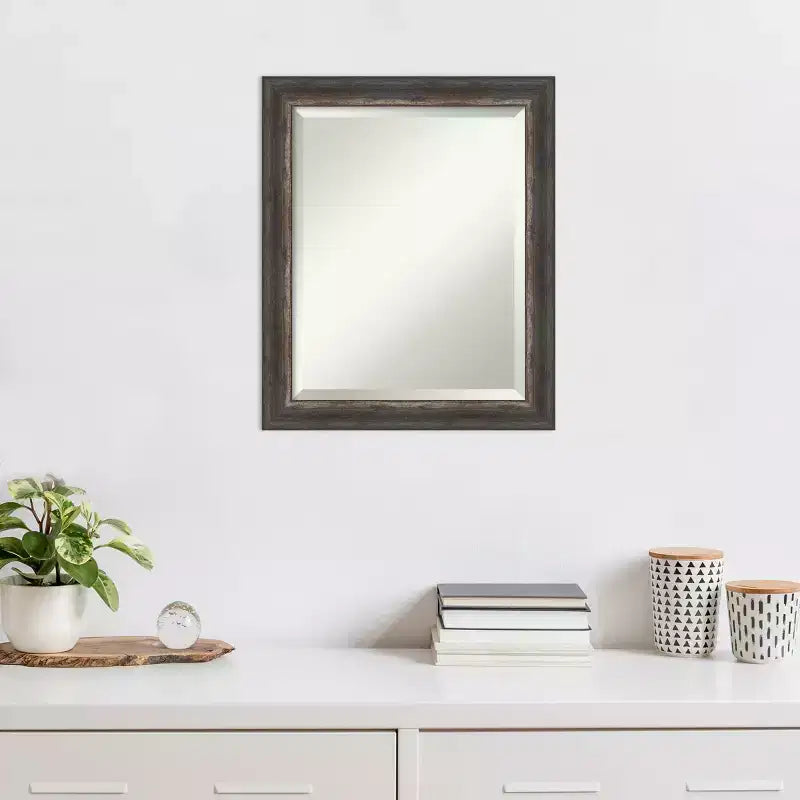 20" x 24" Bark Rustic Char Narrow Framed Wall Mirror