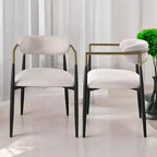 Modern Upholstered Dining Chair